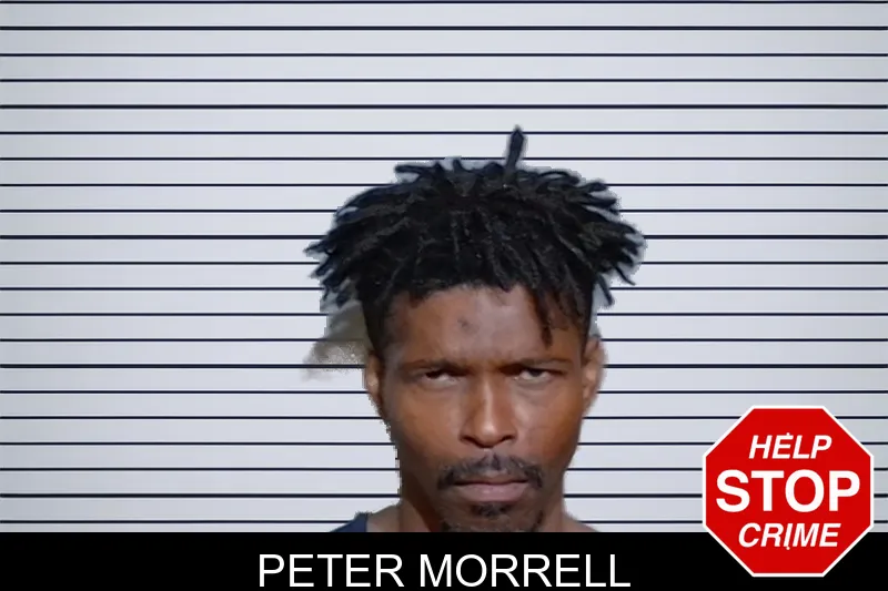 Peter Morrell mugshot – Glynn County , Georgia Peter Morrell mugshot