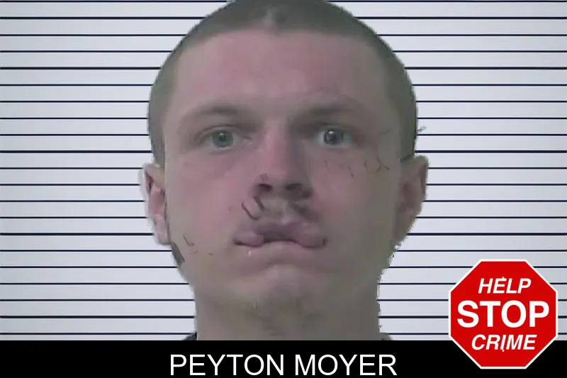 Peyton Moyer mugshot