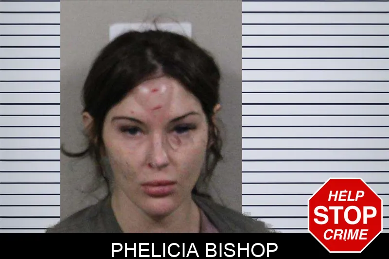 Phelicia Bishop mugshot – Lamar County , Georgia Phelicia Bishop mugshot