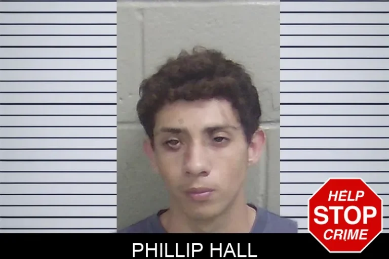 Phillip Hall mugshot – Wayne County , Georgia Phillip Hall