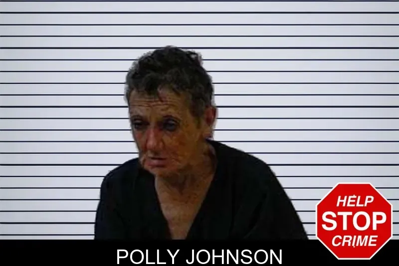 Polly Johnson mugshot