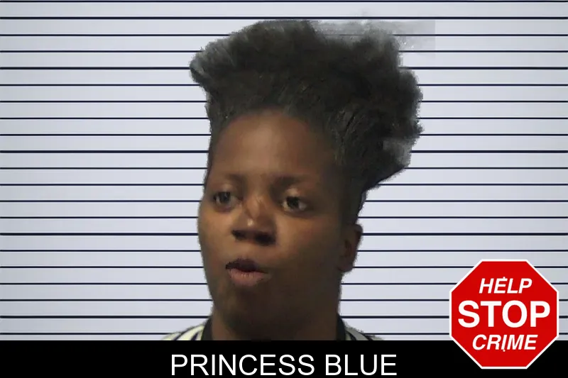 Princess Blue mugshot