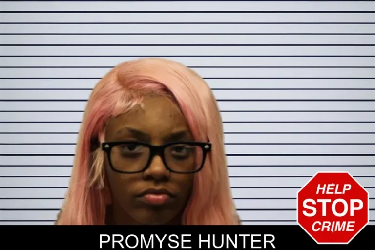 Promyse Hunter