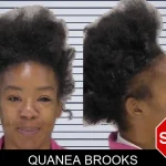 Quanea Brooks mugshot