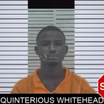Quinterious Whitehead mugshot