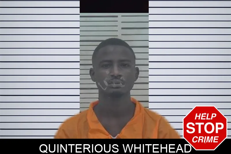Quinterious Whitehead mugshot