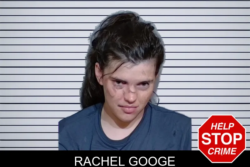 Rachel Googe mugshot