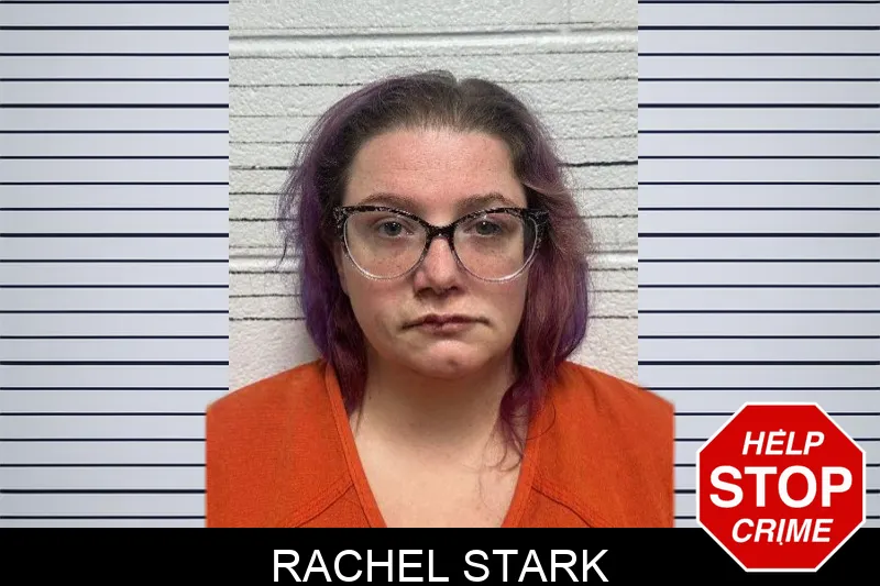 Rachel Stark mugshot – Dade County , Georgia Rachel Stark mugshot
