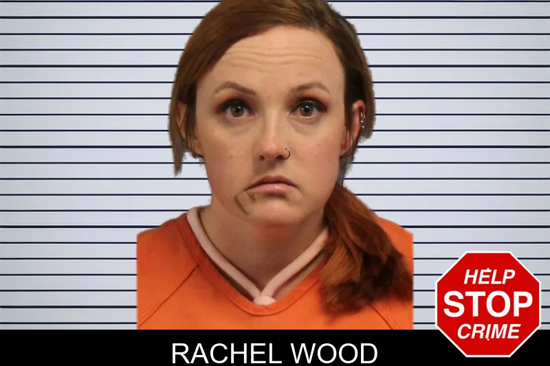 Rachel Wood mugshot