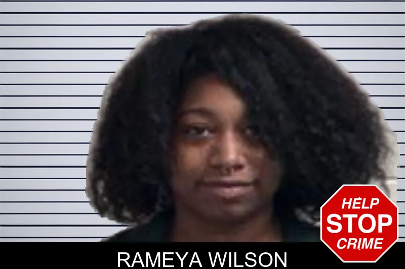 Rameya Wilson mugshot – Henry County , Georgia Rameya Wilson mugshot