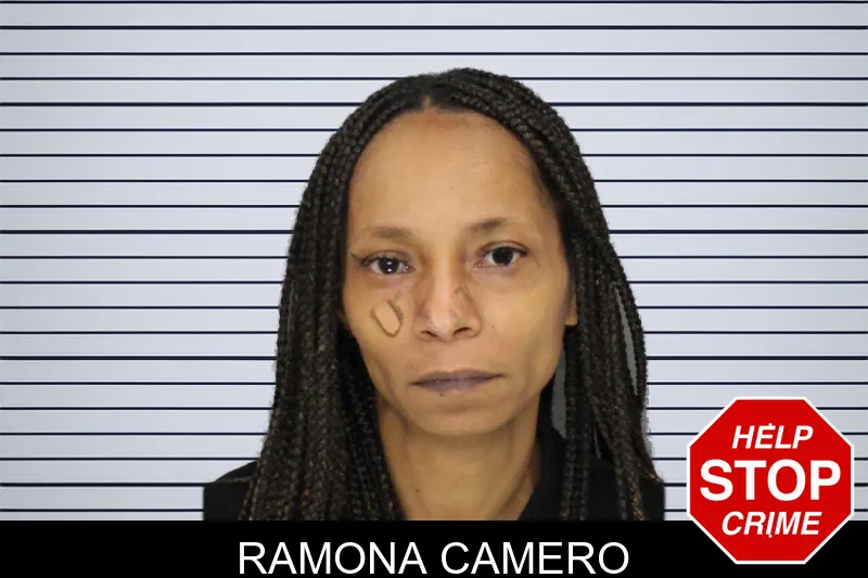 Ramona Camero mugshot