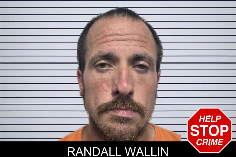 Randall Wallin mugshot