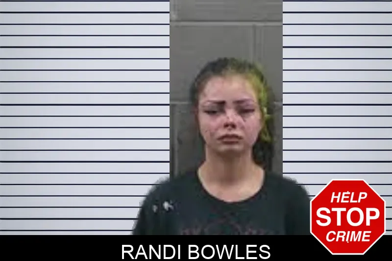 Randi Bowles mugshot – Banks County , Georgia Randi Bowles mugshot