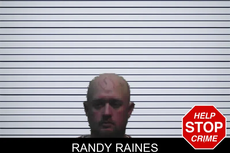 Randy Raines mugshot – Meriwether County , Georgia Randy Raines mugshot
