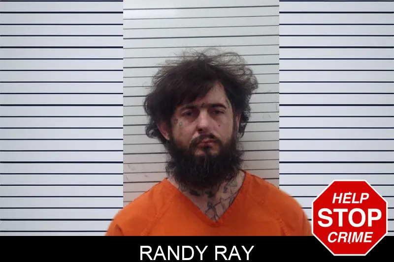 Randy Ray mugshot