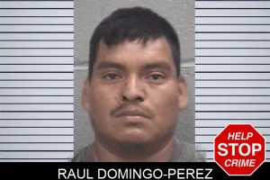 Raul Domingo-Perez mugshot