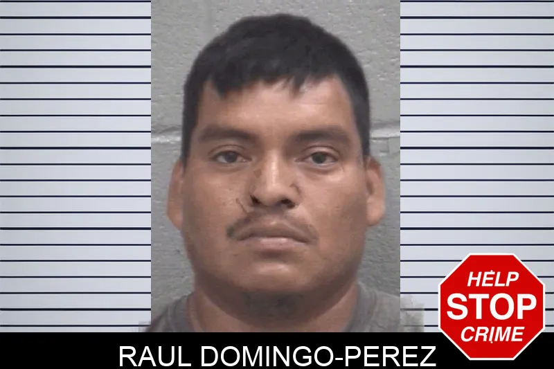 Raul Domingo-Perez mugshot