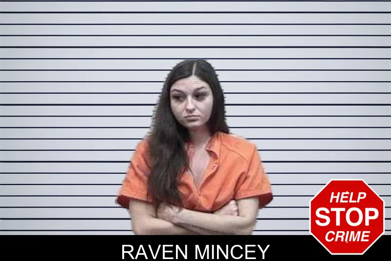 Raven Mincey mugshot – Tattnall County , Georgia Raven Mincey mugshot