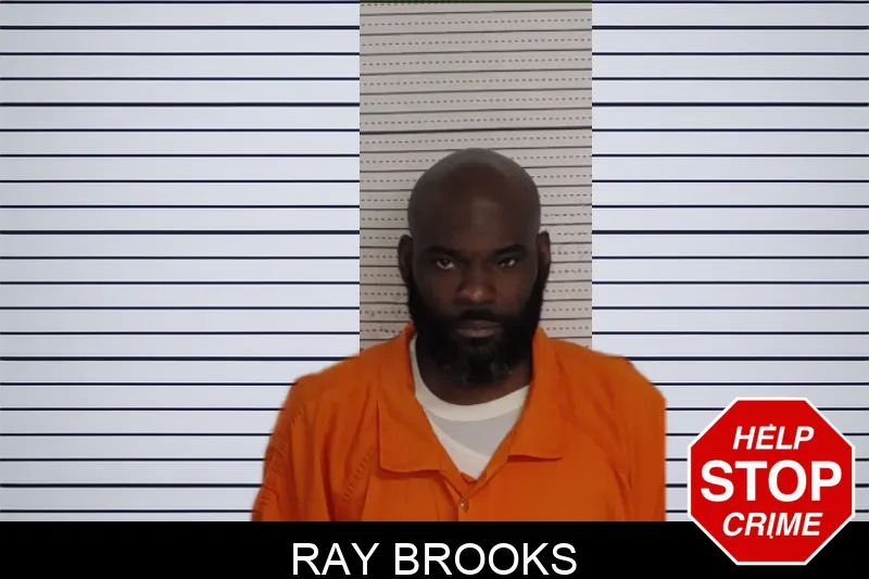 Ray Brooks mugshot