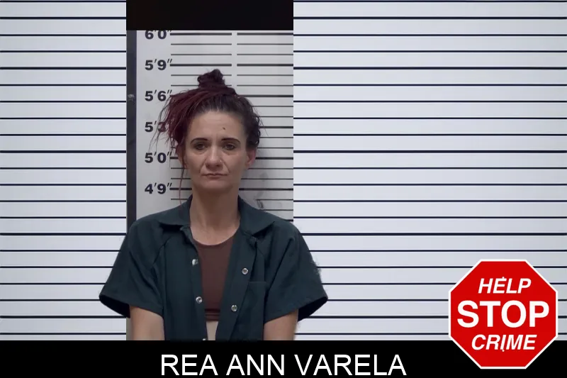 Rea Ann Varela mugshot – Irwin County , Georgia Rea Ann Varela mugshot