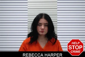 Rebecca Harper mugshot