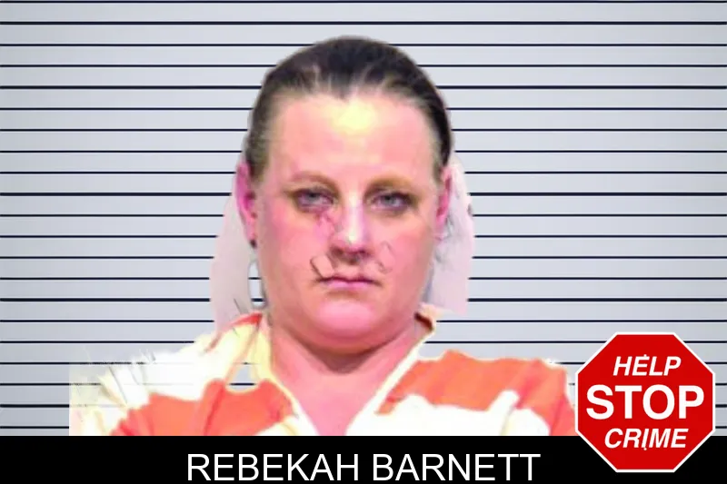 Rebekah Barnett mugshot