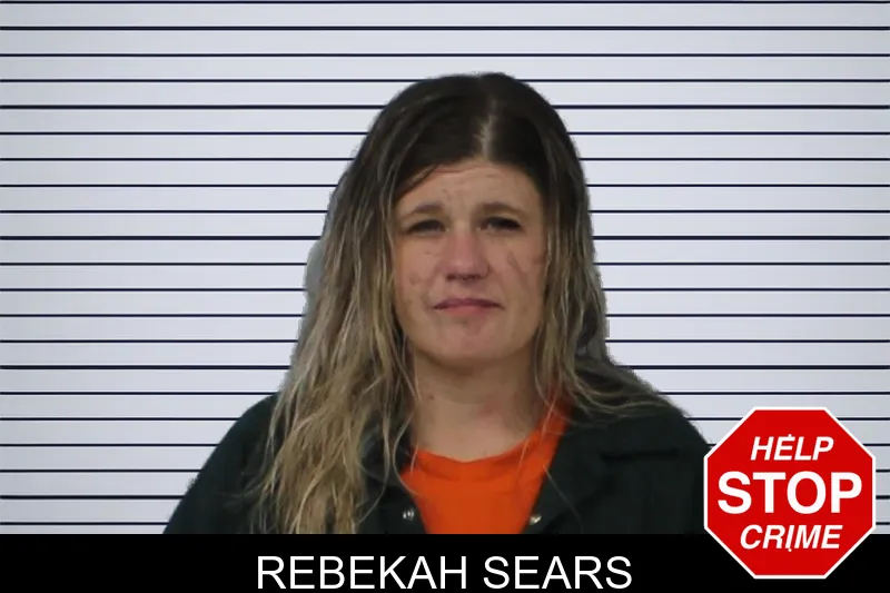 Rebekah Sears mugshot – Mcintosh County , Georgia Rebekah Sears mugshot