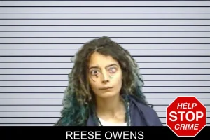 Reese Owens mugshot