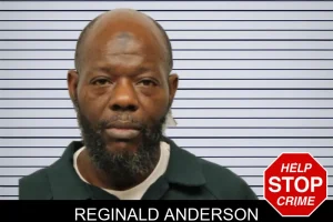 Reginald Anderson mugshot