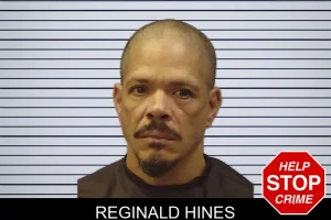 Reginald Hines mugshot