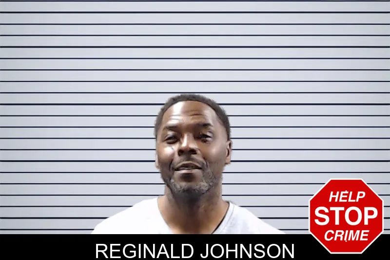 Reginald Johnson mugshot