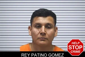 Rey Patino Gomez mugshot