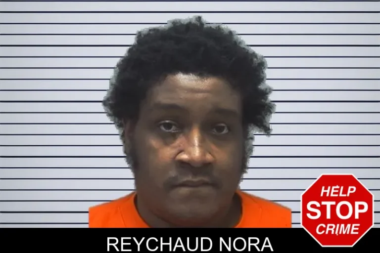 Reychaud Nora mugshot – Cherokee County , Georgia Reychaud Nora