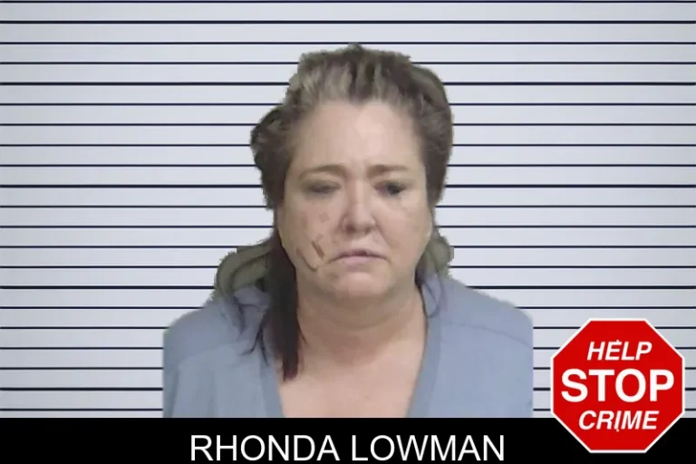 Rhonda Lowman mugshot – Wayne County , Georgia Rhonda Lowman
