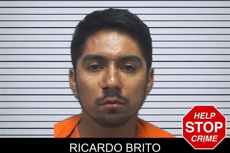 Ricardo Brito mugshot