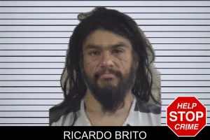 Ricardo Brito mugshot