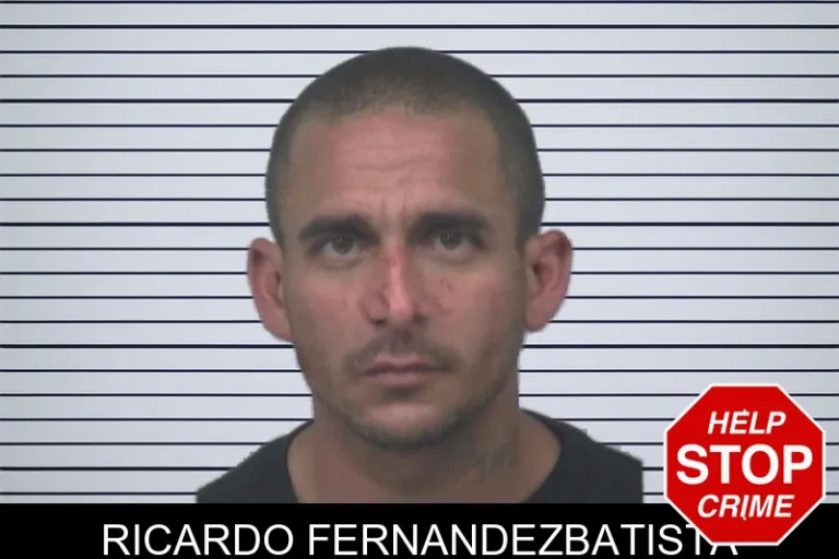 Ricardo Fernandezbatista