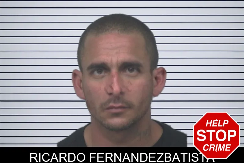 Ricardo Fernandezbatista mugshot