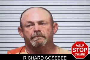 Richard Sosebee mugshot