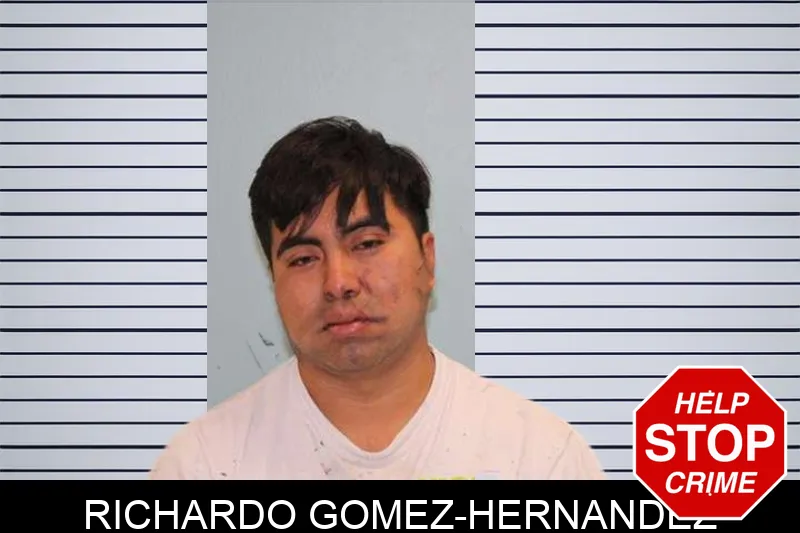 Richardo Gomez-Hernandez mugshot