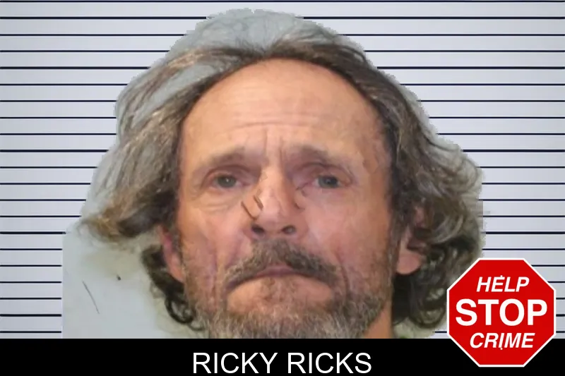 Ricky Ricks mugshot – Seminole County , Georgia Ricky Ricks mugshot