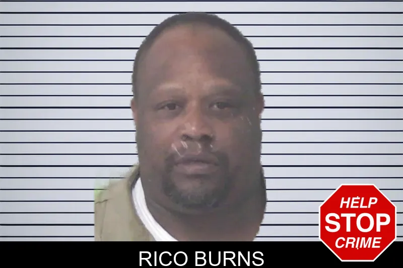 Rico Burns mugshot – Newton County , Georgia Rico Burns mugshot