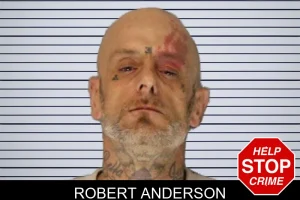 Robert Anderson mugshot