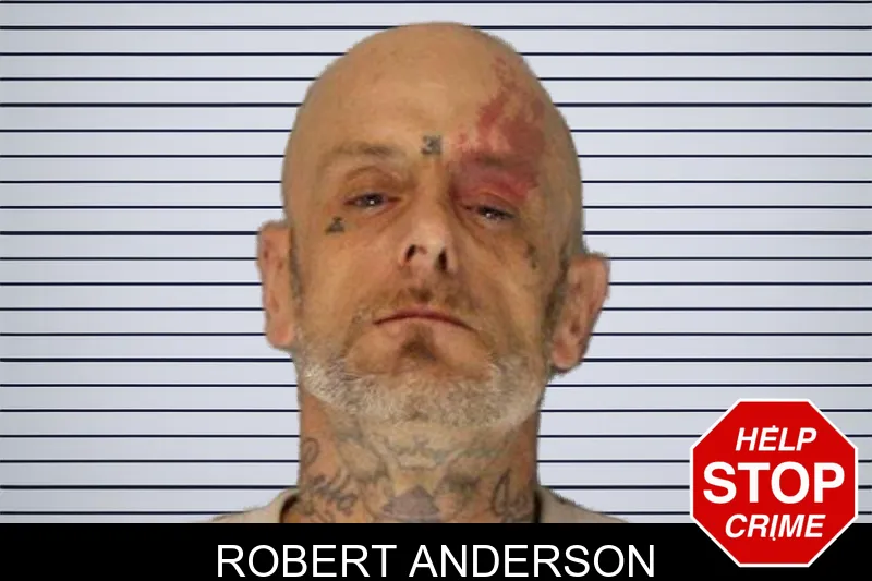 Robert Anderson mugshot