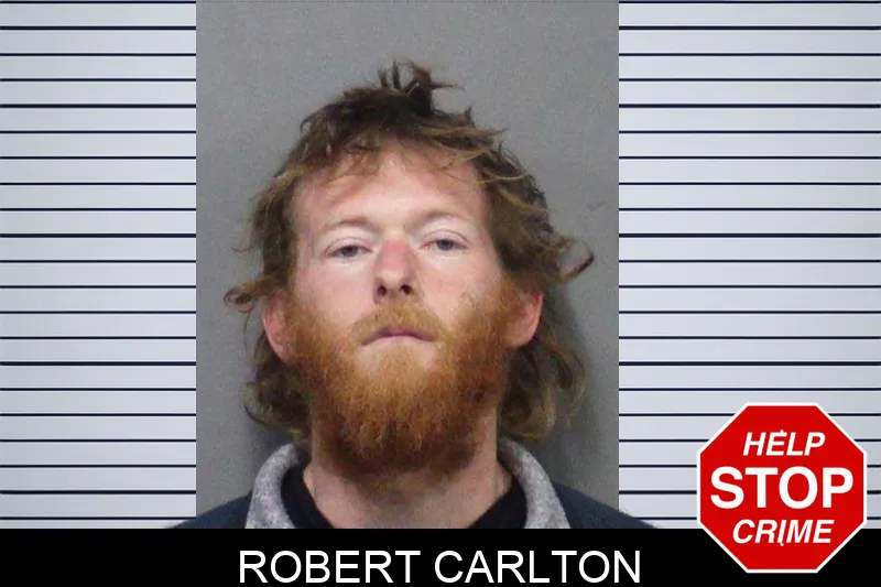 Robert Carlton mugshot – White County , Georgia Robert Carlton mugshot