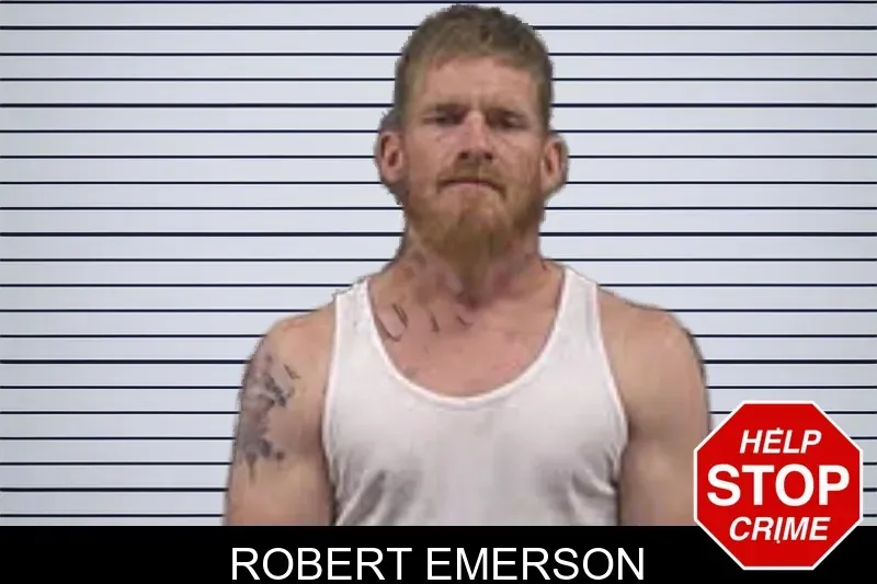 Robert Emerson mugshot