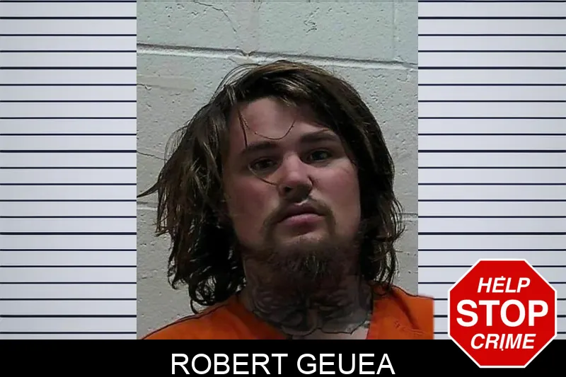 Robert Geuea mugshot