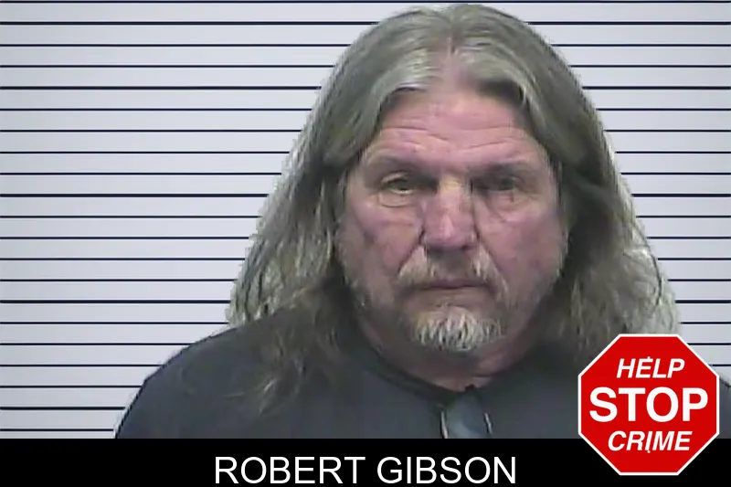 Robert Gibson mugshot