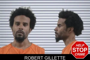 Robert Gillette mugshot