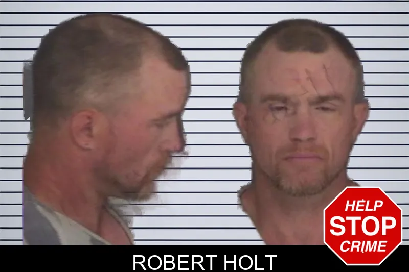 Robert Holt mugshot – Barrow County , Georgia Robert Holt mugshot